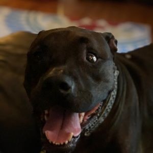 Meet your Posher, Grace